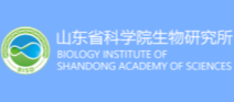 山东省科学院生物   研究所